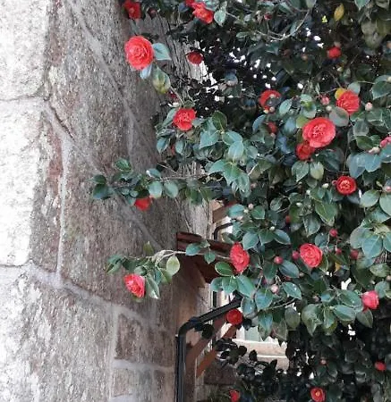 Casa Do Forno Da Aldeia - Serra Da Estrela *