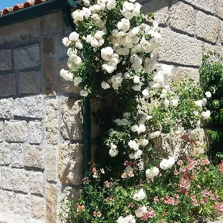 Casa Do Forno Da Aldeia - Serra Da Estrela Landhaus