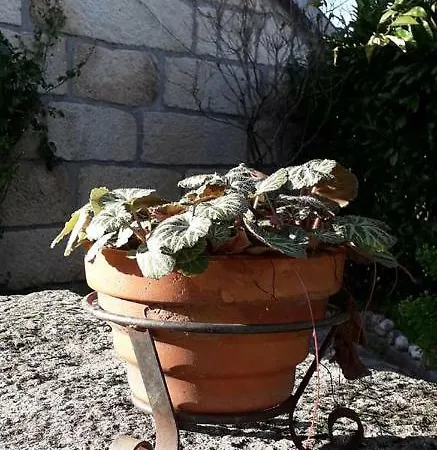 Casa Do Forno Da Aldeia - Serra Da Estrela *