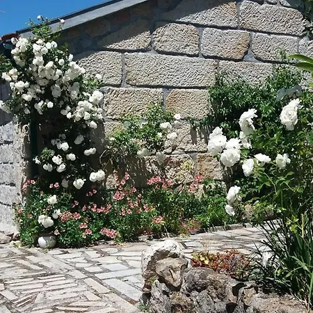 Casa Do Forno Da Aldeia - Serra Da Estrela *