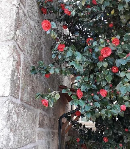 Casa Do Forno Da Aldeia - Serra Da Estrela *