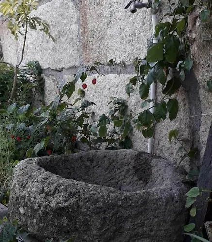 Casa Do Forno Da Aldeia - Serra Da Estrela * Seixo da Beira