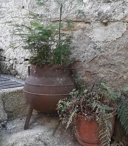 Casa Do Forno Da Aldeia - Serra Da Estrela Seixo da Beira