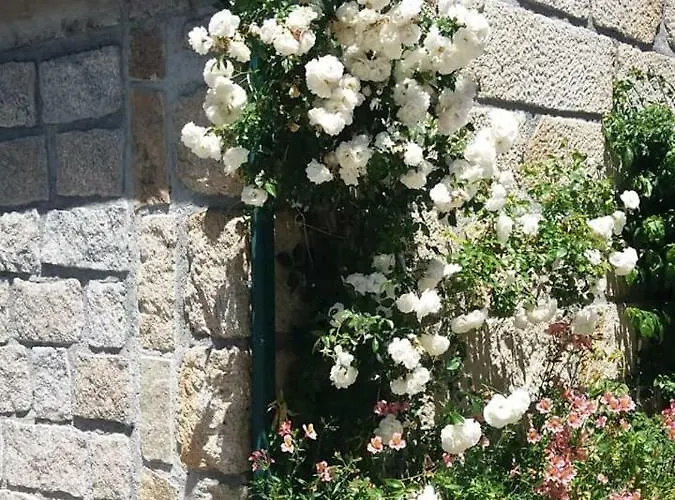 Casa Do Forno Da Aldeia - Serra Da Estrela Landsted