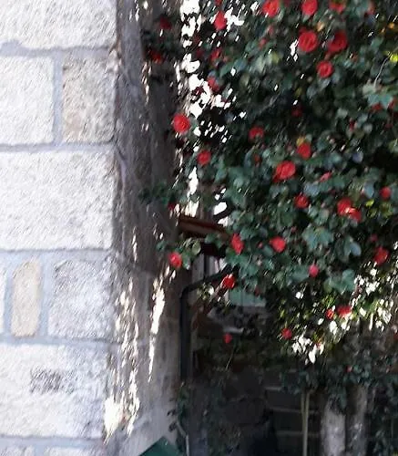 Casa Do Forno Da Aldeia - Serra Da Estrela Country house *