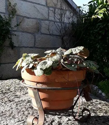 Casa Do Forno Da Aldeia - Serra Da Estrela *