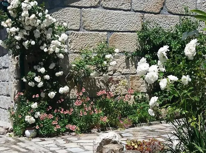 Casa Do Forno Da Aldeia - Serra Da Estrela *